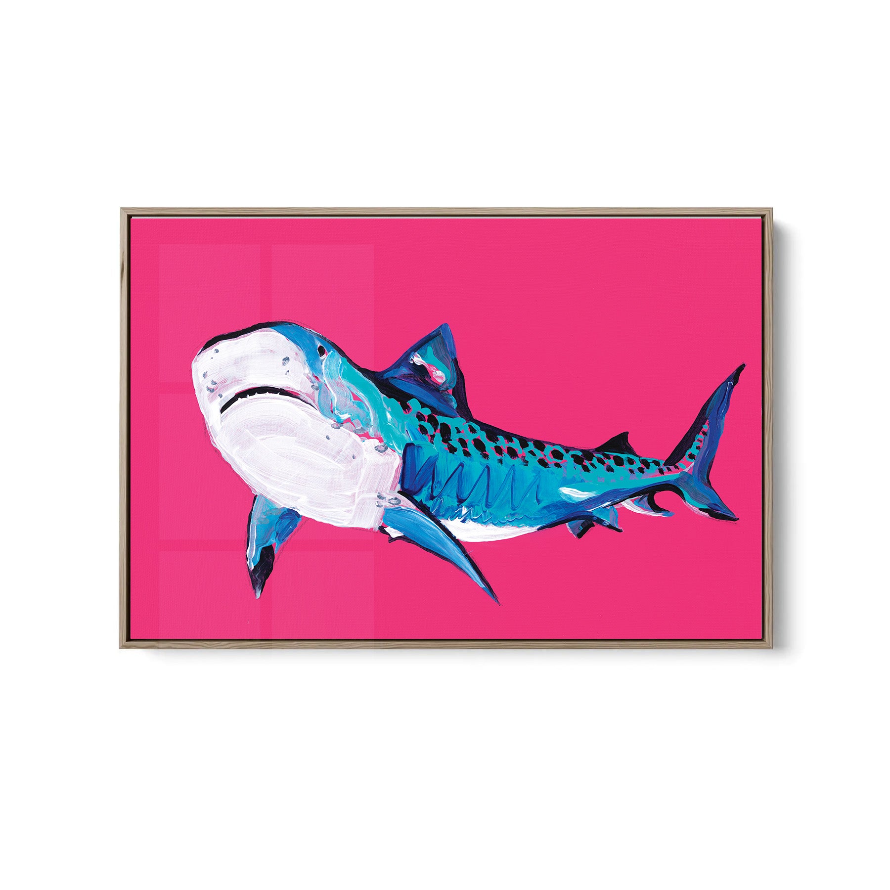 Tiger Shark - Fine Art Print