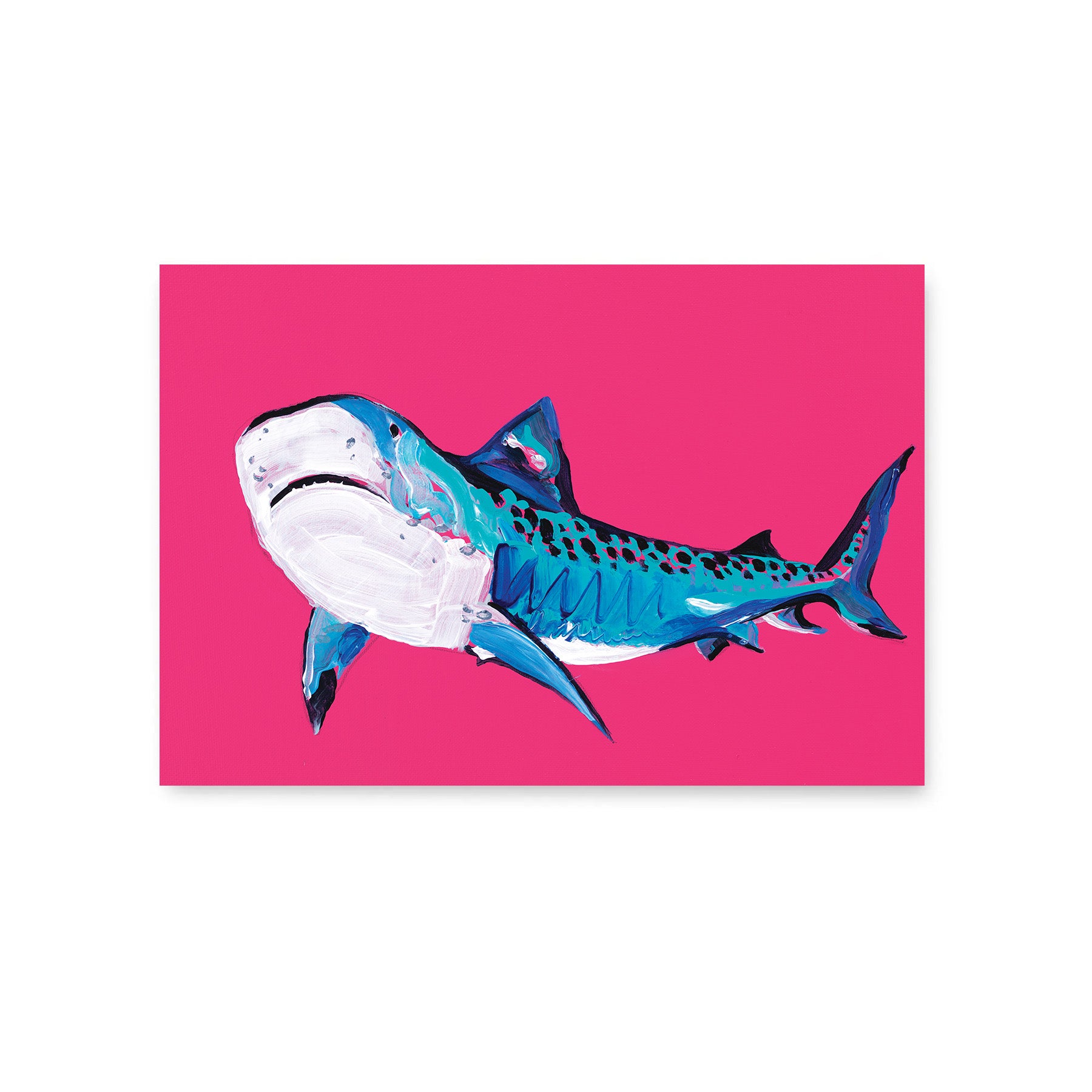Tiger Shark - Fine Art Print