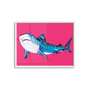Tiger Shark - Fine Art Print