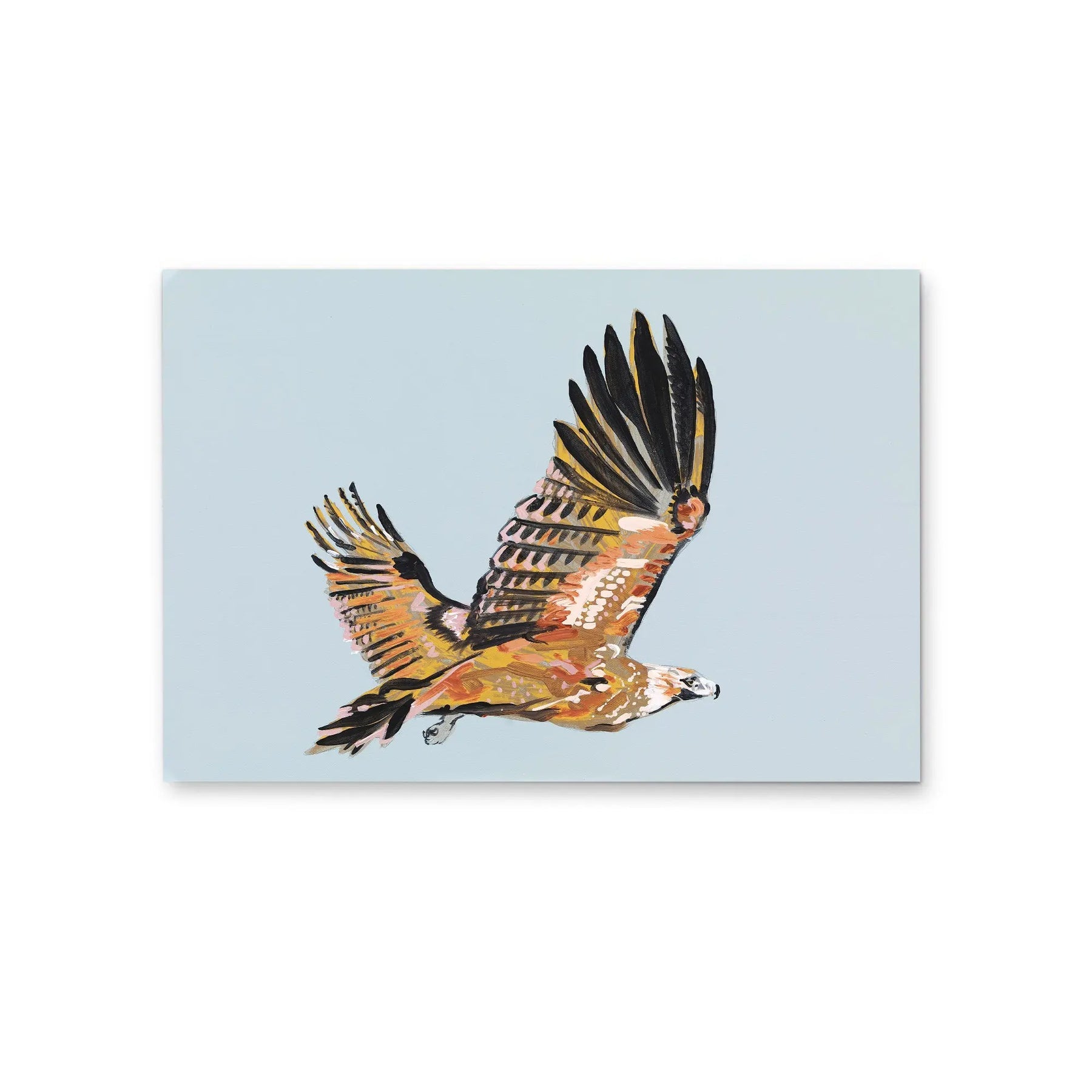 Wedge-tailed Eagle  - Canvas
