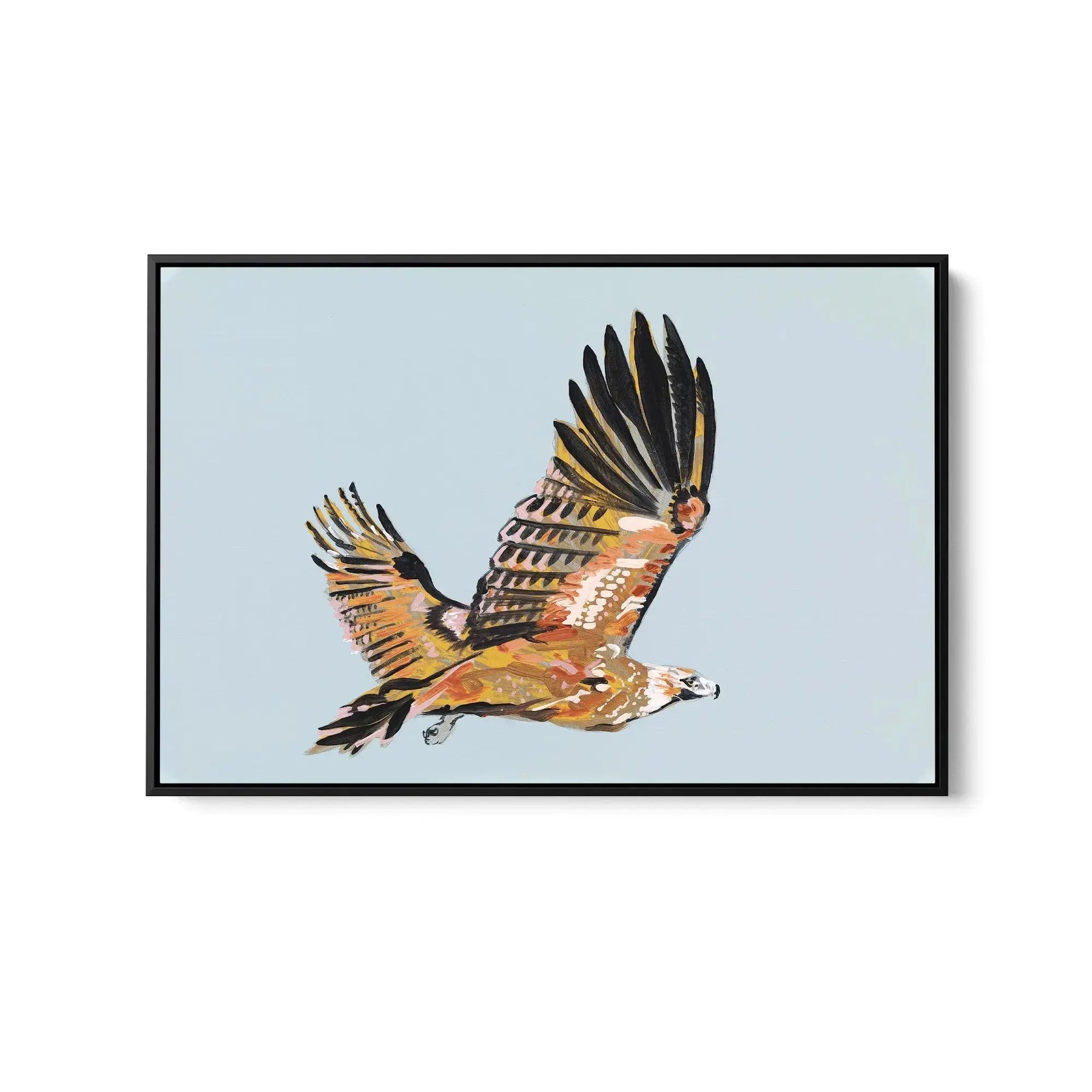 Wedge-tailed Eagle  - Canvas