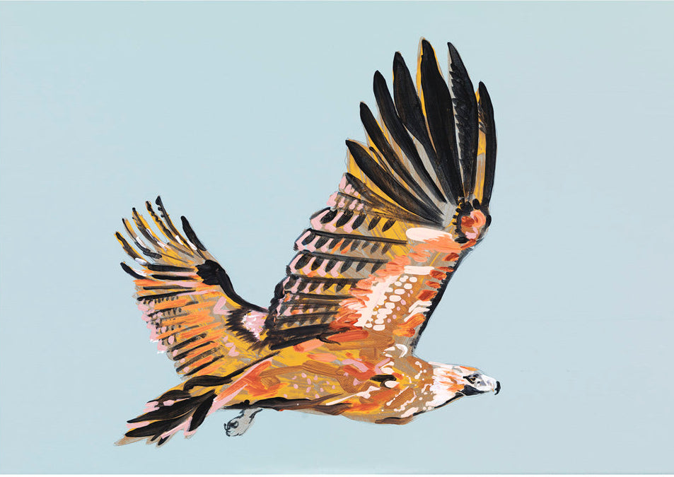 Wedge-tailed Eagle  - Canvas