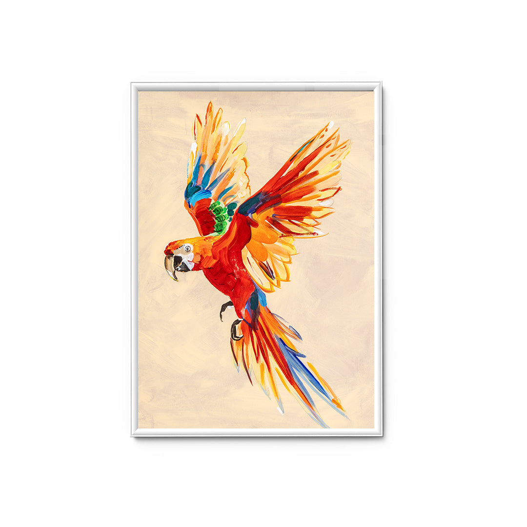 Macaw Parrot - Canvas