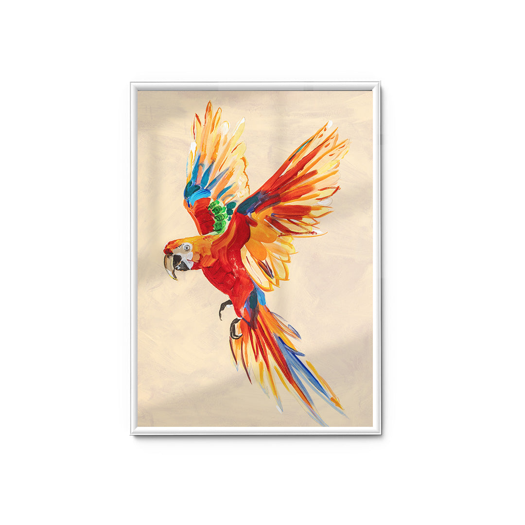 Macaw Parrot - Fine Art Print