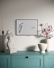 Kookaburra - Canvas